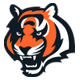 Cincinnati Benggals