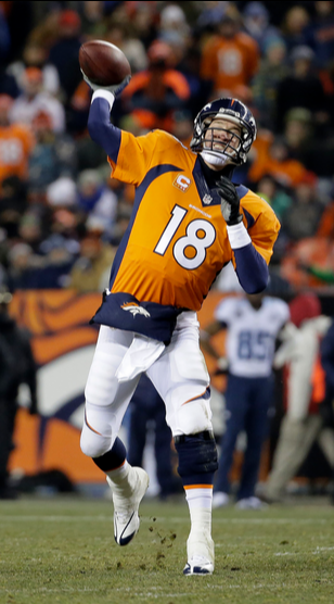 Peyton Manning Week 14
